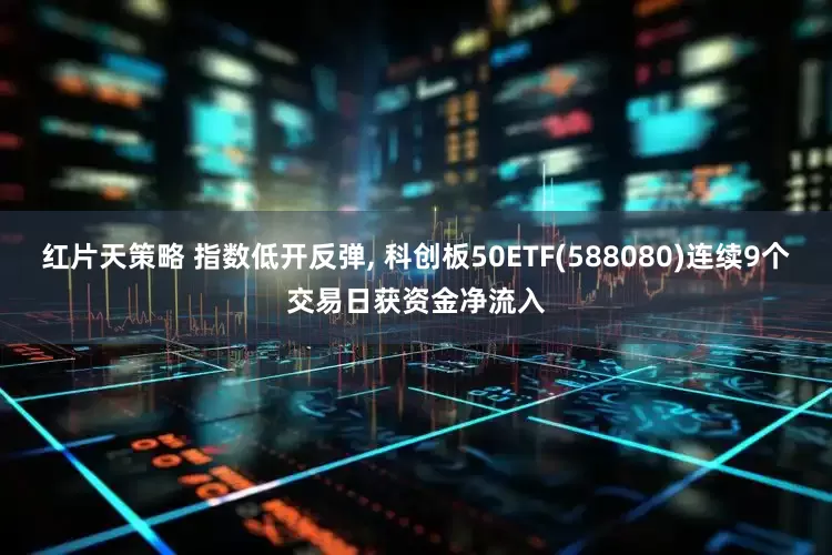 红片天策略 指数低开反弹, 科创板50ETF(588080)连续9个交易日获资金净流入