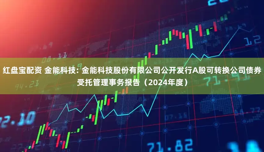 红盘宝配资 金能科技: 金能科技股份有限公司公开发行A股可转换公司债券受托管理事务报告（2024年度）