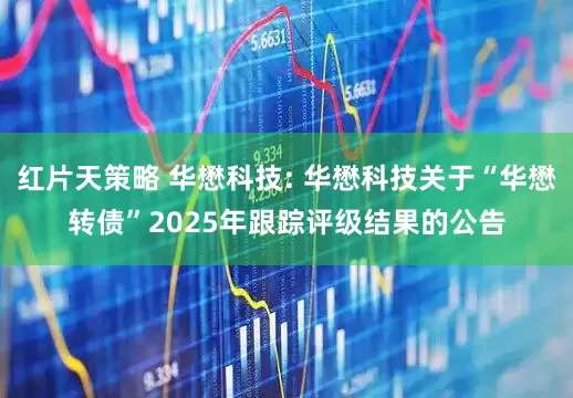 红片天策略 华懋科技: 华懋科技关于“华懋转债”2025年跟踪评级结果的公告
