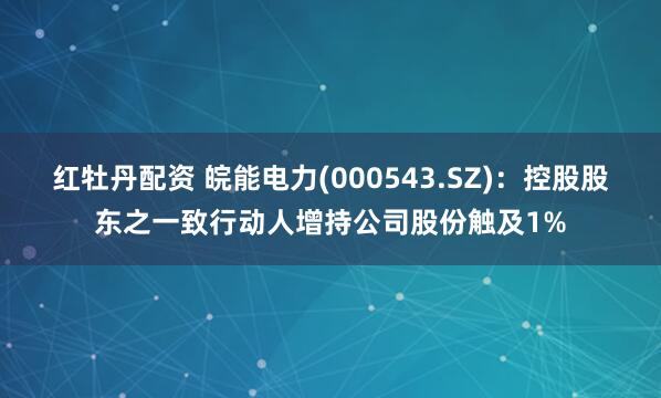 红牡丹配资 皖能电力(000543.SZ)：控股股东之一致行动人增持公司股份触及1%