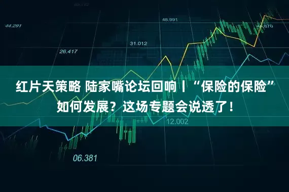 红片天策略 陆家嘴论坛回响丨“保险的保险”如何发展？这场专题会说透了！